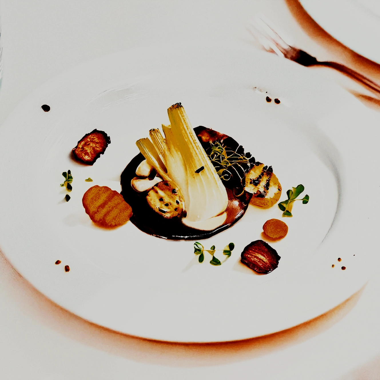 sterneessen_zeitgeist_fotografie_giuseppe_troiano